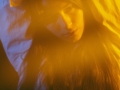 Lucia-Fernandez-002
